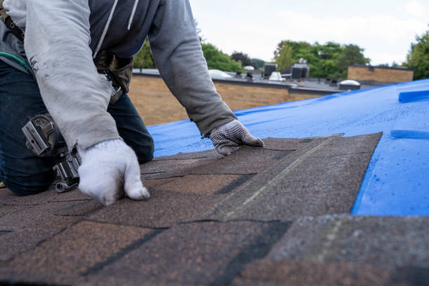 Roof Installation Near Me in Innovation, VA