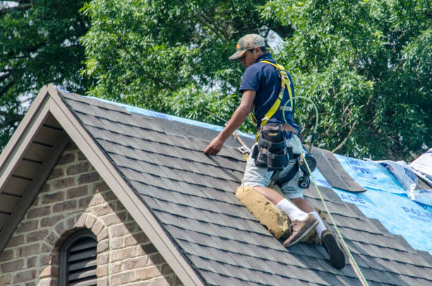 Best Roof Gutter Cleaning  in Innotion, VA